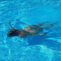 Agenda naturisme