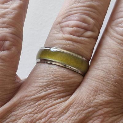 Bague acier 18 4