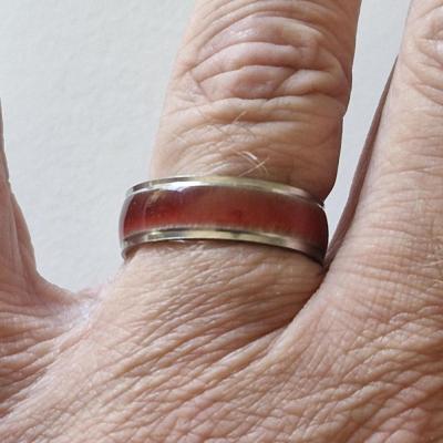 Bague acier 18 5