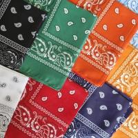 Bandana 1 coloris 1 