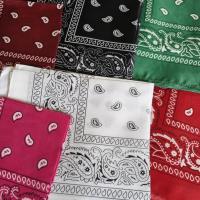 Bandana 1 coloris 2 