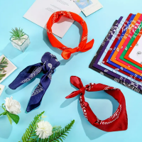 Bandanas n 1
