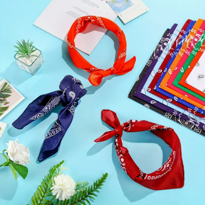Bandanas n 1