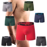 Boxer 1 3 